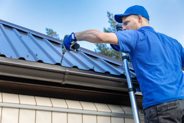 Best Roof Waterproofing  in Mancelona, MI
