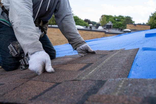 Best Roof Insulation Installation  in Mancelona, MI