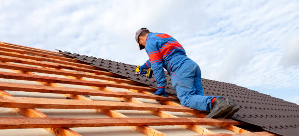 Best Roof Ventilation Installation  in Mancelona, MI