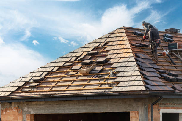 Best Roof Leak Repair  in Mancelona, MI