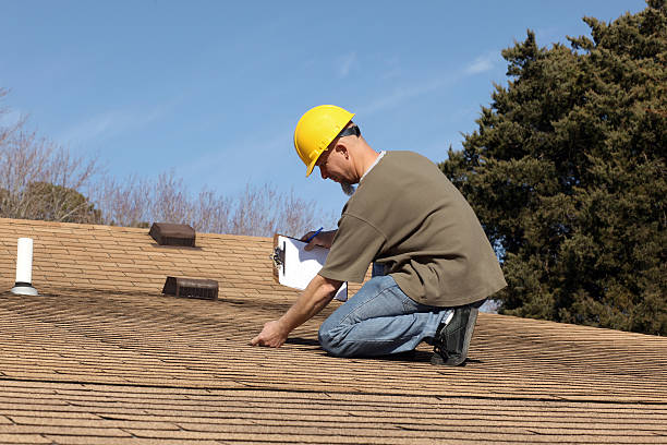 Best Roof Moss and Algae Removal  in Mancelona, MI